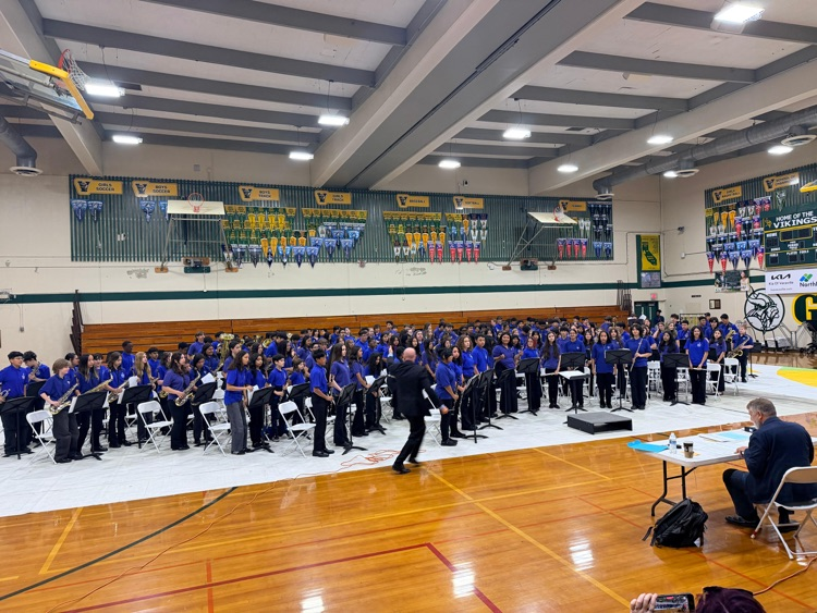 BMS Band
