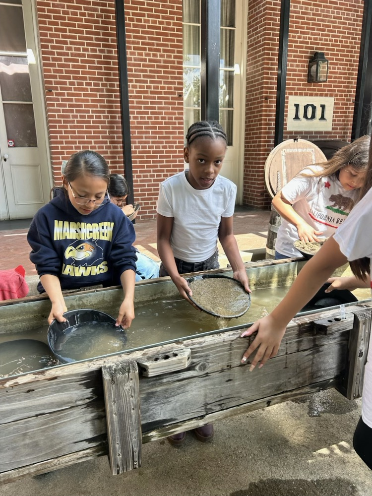 panning for gold