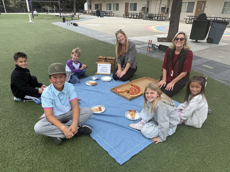picnic