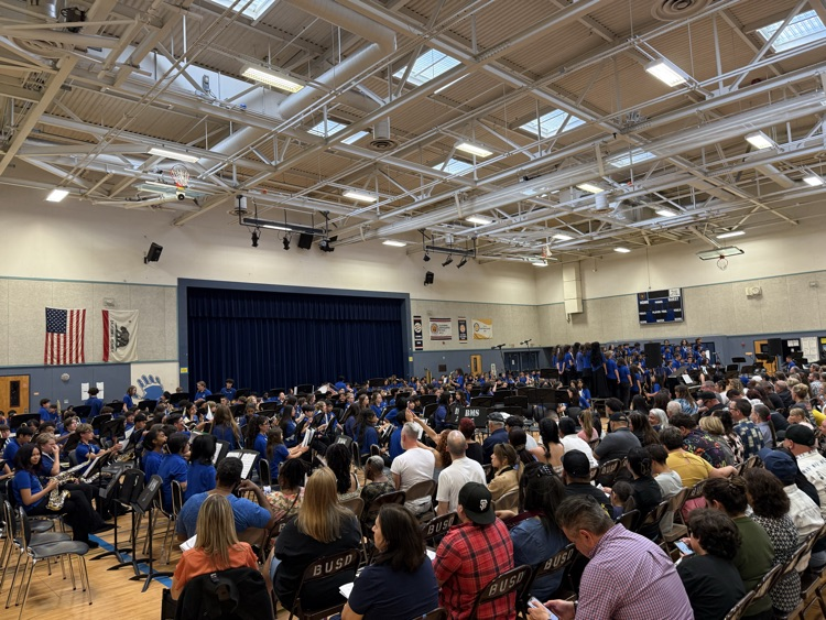 BMS Spring Concerts