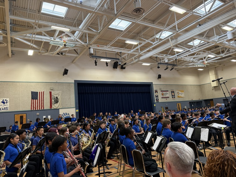 BMS Spring Concerts