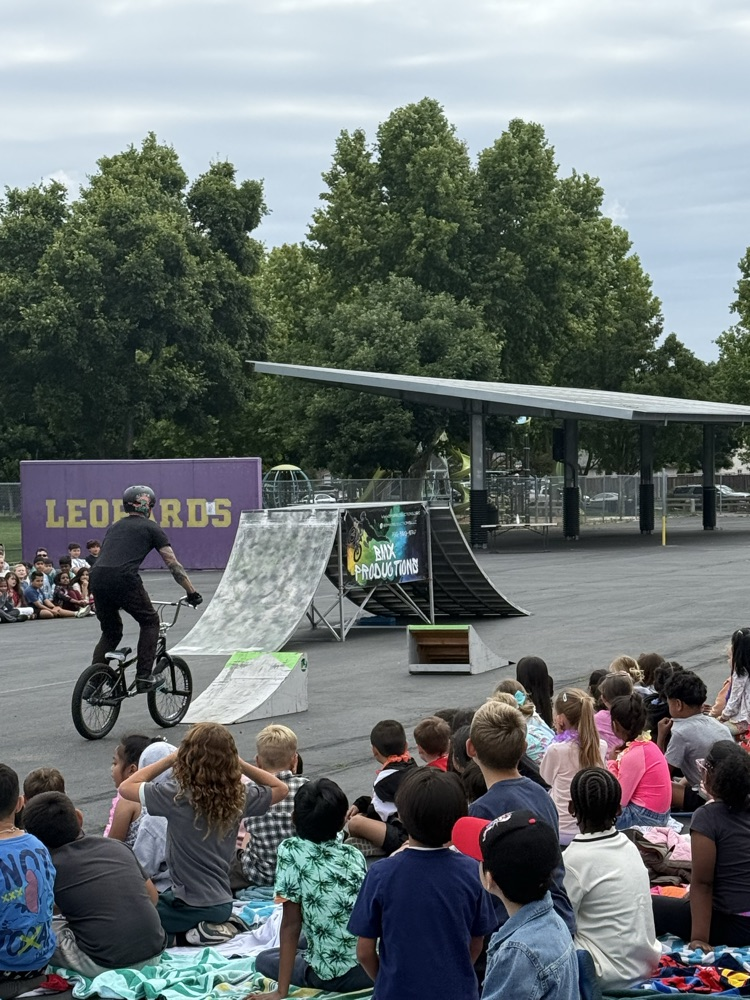 bmx