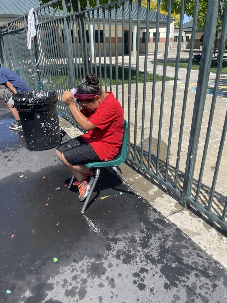 field day
