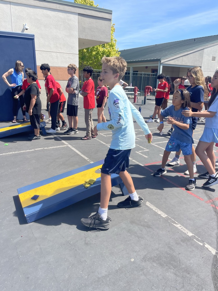 field day