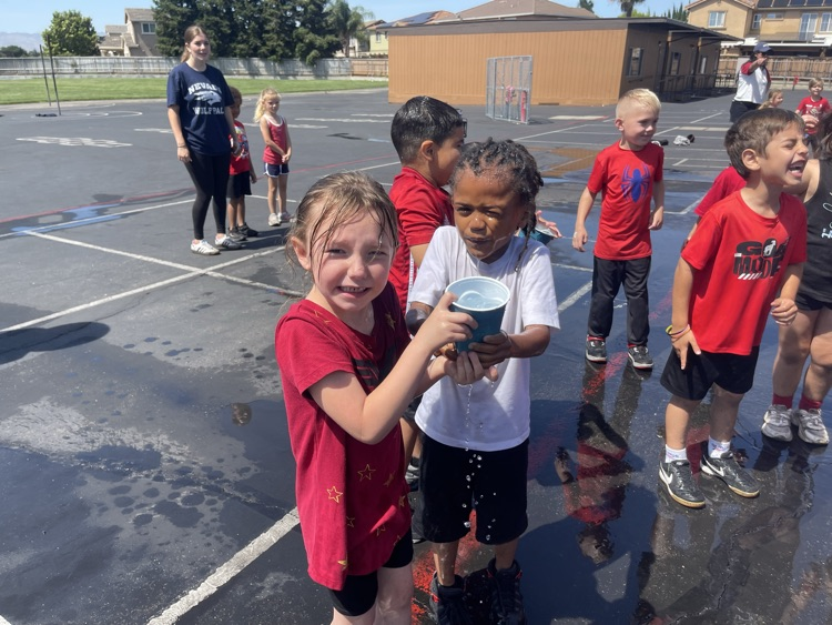field day