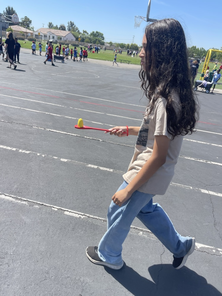 field day