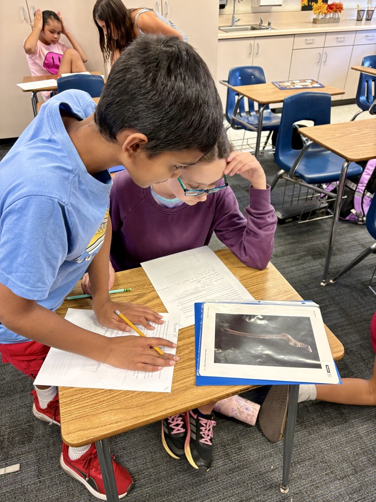 6th grade Social Science