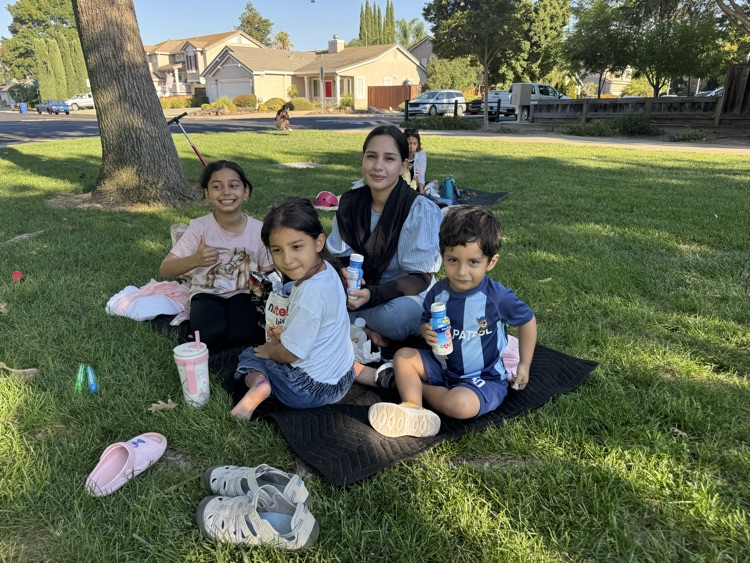 picnic