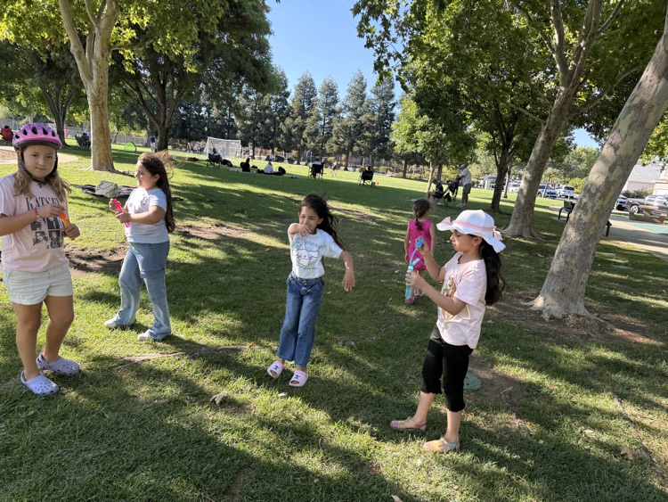 picnic