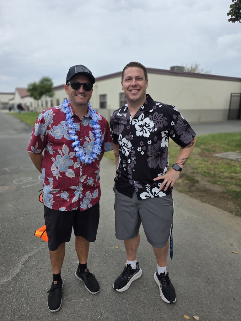 Aloha 3