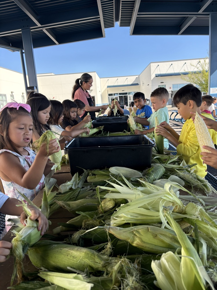 corn town