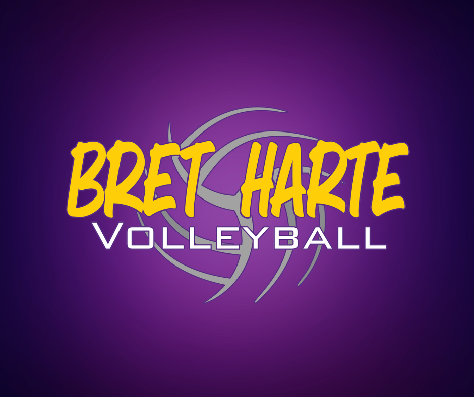 BH Volleyball logo