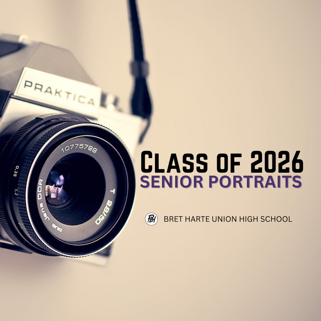 Senior Portraits image