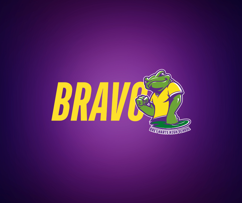 Bravo logo