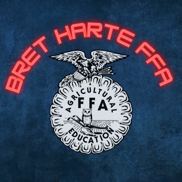 BHFFA Logo for 2025-26
