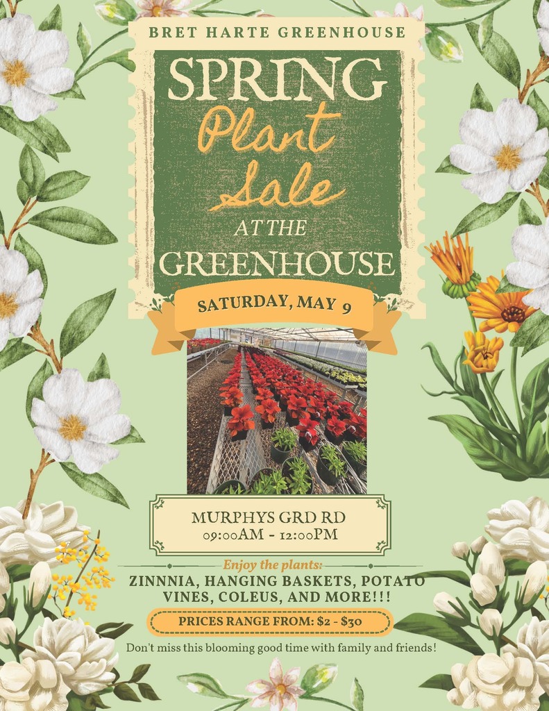 Spring plast say promo flyer