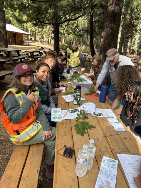 Forestry Team 2