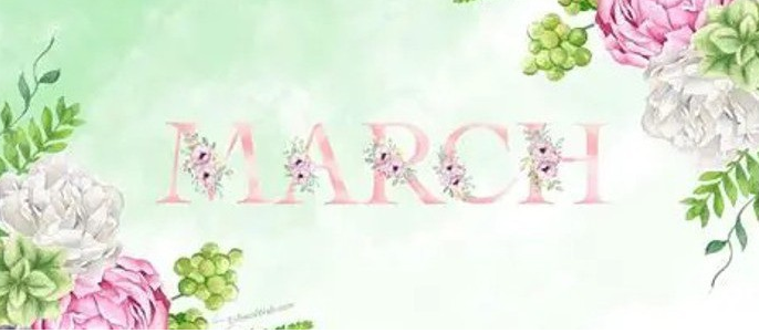 January 2026 Newsletter