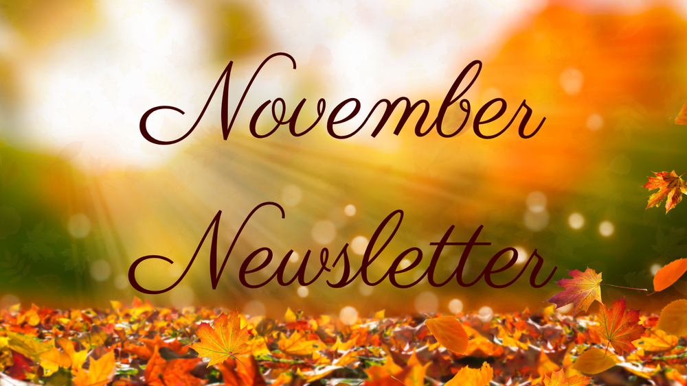 November Newsletter