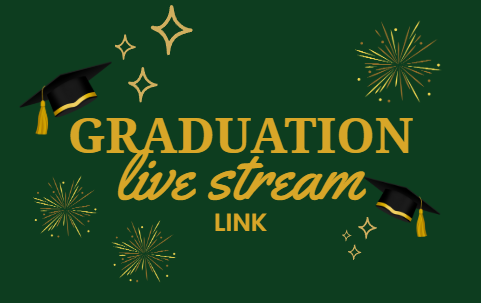 Live Stream Link