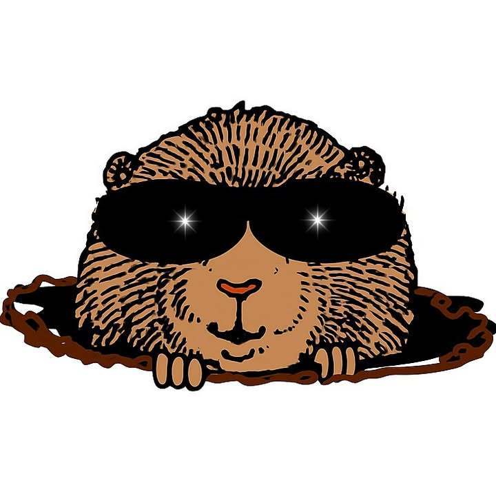 gopher with sunglasses popping his head out of a hole