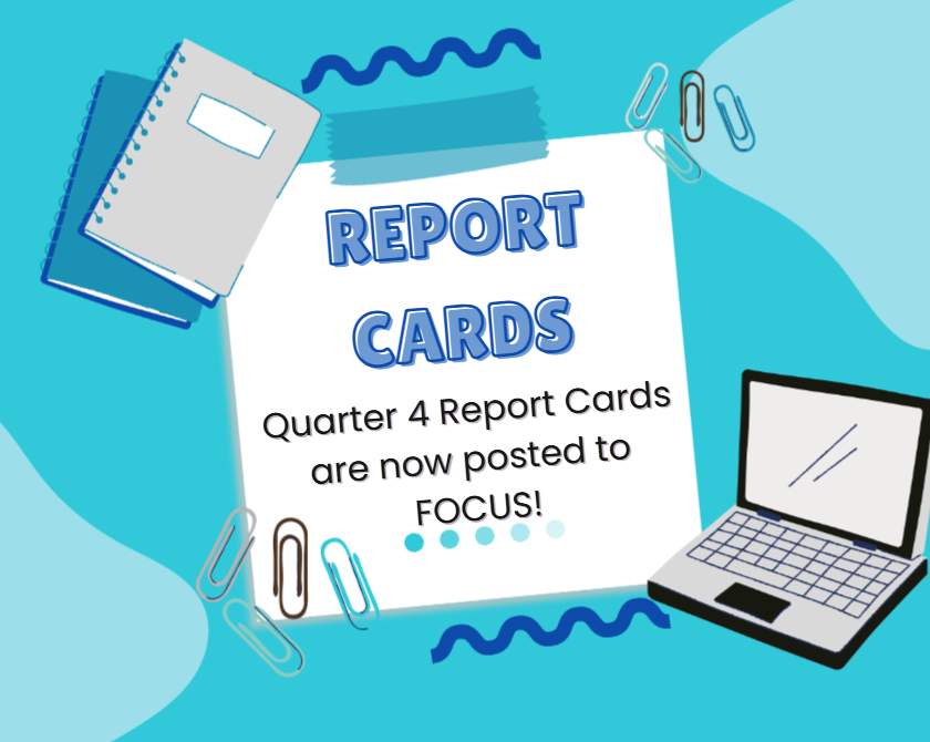 Q4 Reprot CArds