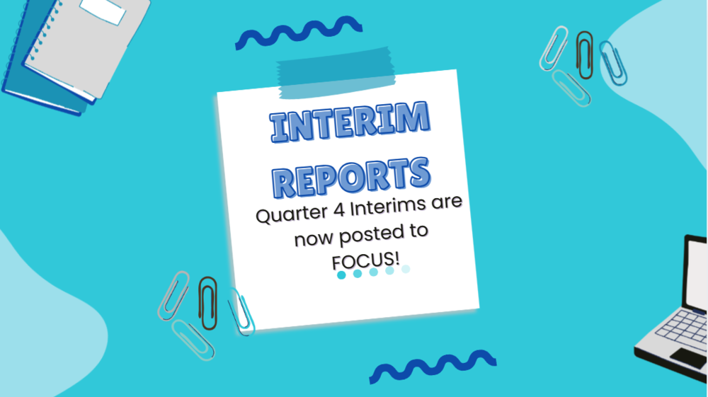 Q4 Interims