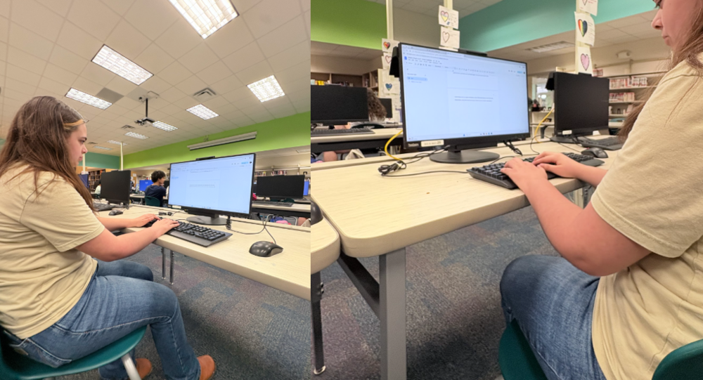 Love in writing: Emily Crabtree types her English essay in the school's computer lab. Crabtree, a student in Monica Tam's English class, worked on her essay about true love in Romeo and Juliet and Pyramus and Thisbe on April 2nd. She felt that setting up the paragraphs was the easiest part of writing the essay. "Yeah, my point was easy to prove," Crabtree said.  Photo by: Brooke Johnson 