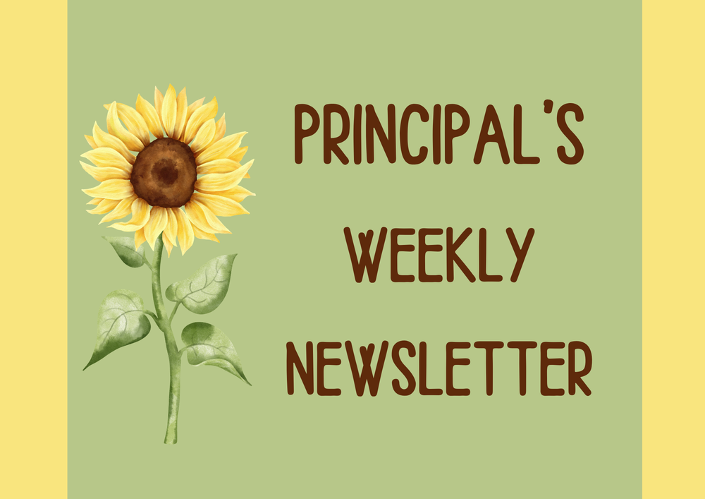 Suntree_Elementary_Newletter