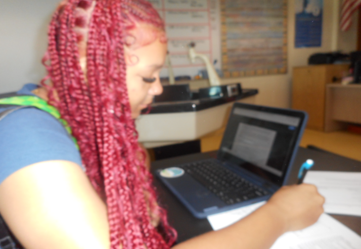 Caption: Biology Students Mastered Energy Concepts. Students demonstrate their understanding of energy transfer during Ms. Korpus’s cellular respiration and photosynthesis test last Friday in biology class. Tiana Biggs studied diagrams, notes, and past lab experiments to track how energy moves through cells and why each reaction matters, while Julian Baxter reviewed his lab charts to follow the steps of photosynthesis and cellular respiration. “Breaking each system into smaller parts really helped me see how energy flowed,” Tiana Biggs said. “I kept a chart of all the steps, and that really helped me track the processes during the test,” Julian Baxter added. Photo Credits to Miyah Evans