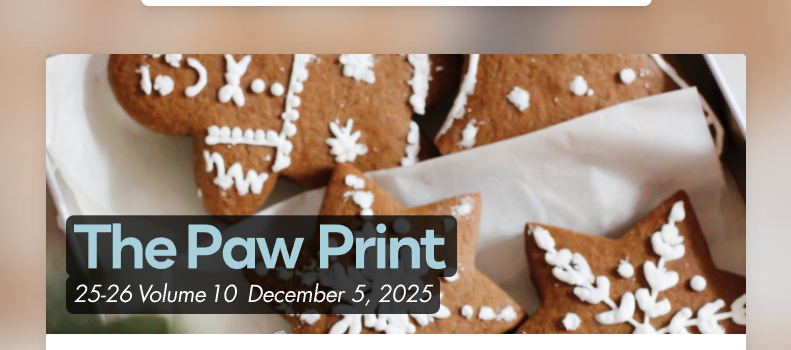 Paw Print Gingerbread men and star cookies