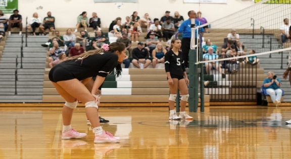 Been There, Dug That: Vivian Atchison, a junior at Melbourne High School, shows her experience and composure during varsity volleyball game. With five years of dedication to the sport, she positioned herself with focus and readiness, prepared to handle the next serve. Her presence on the court reflected both her skill and leadership, qualities that have made her a reliable member of the team. Atchison said her advice to jv players is”try your hardest and everything is possible”.Her words and example continue to inspire young athletes who looked up to her both on and off the court. Photo By Hunter Paige