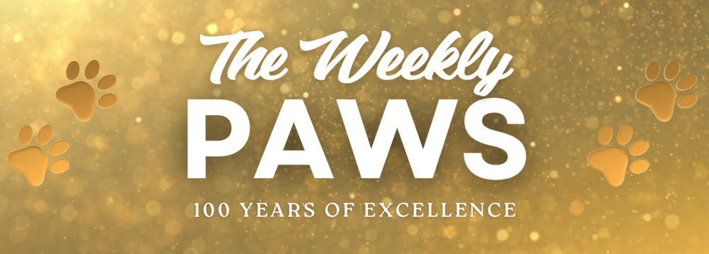 Weekly PAWS