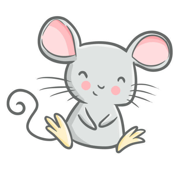 Mouse Photo