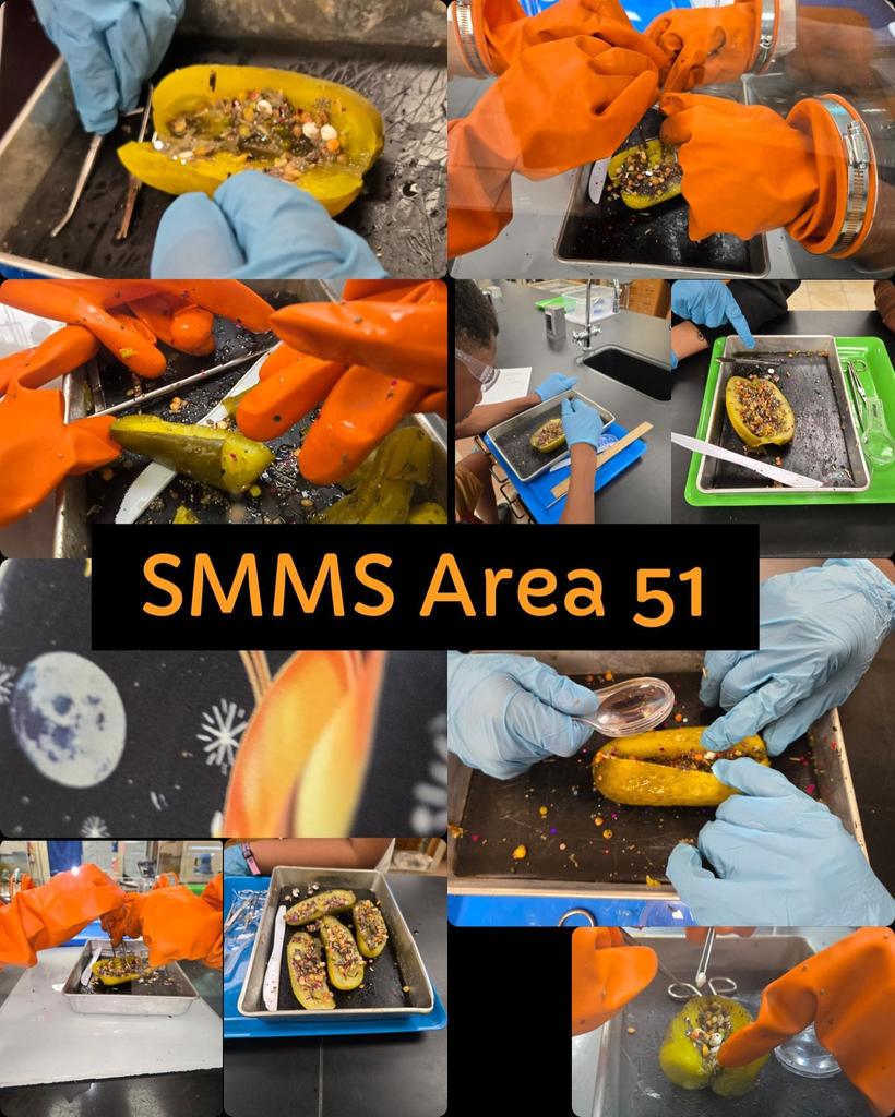 SMMS Area 51 images of hands while students are dissecting pickles. Students in science research were field agents for the day as they applied qualitative and quantitative data collection methods during their observations of aliens.