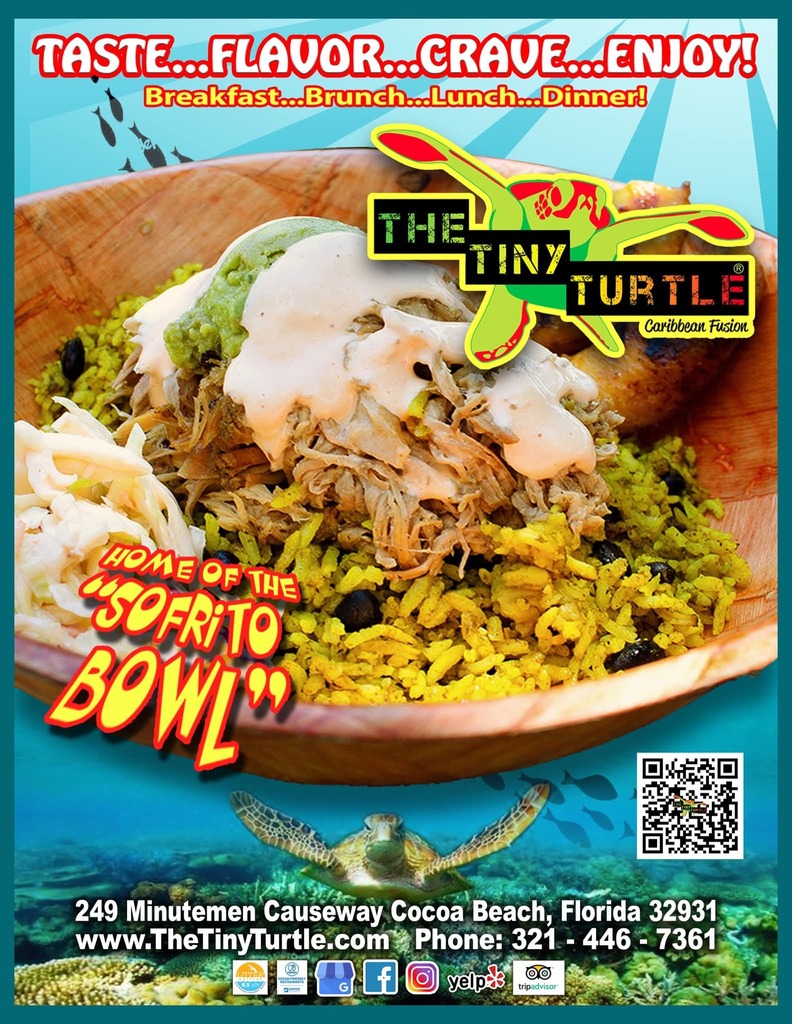 Tiny Turtle