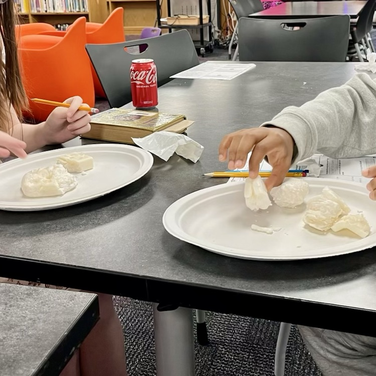 students mushing soap with their hands