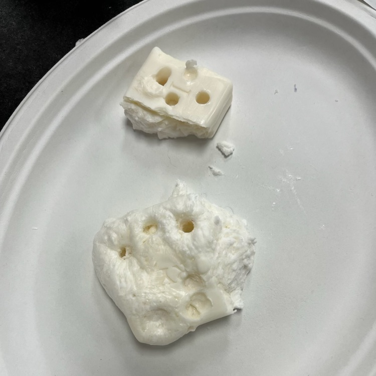 students mushing soap with their hands