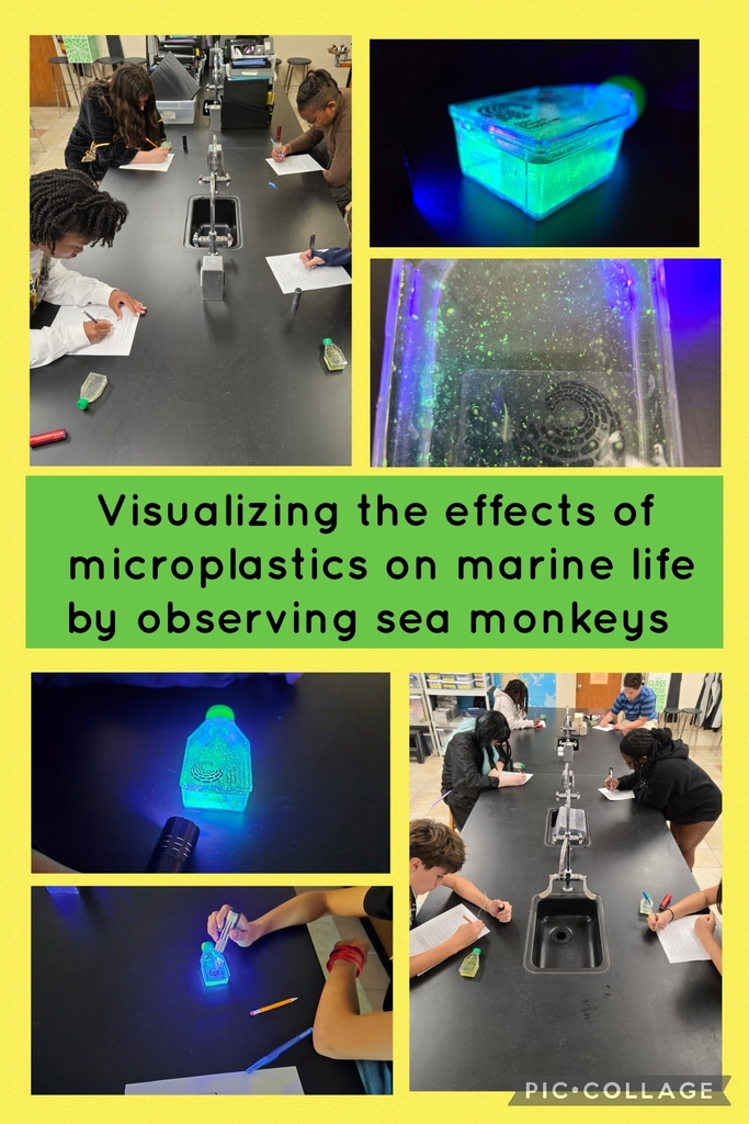 yellow background with images of students conducting experiements and writing in notebooks and the words: visualizing the effects of microplastics on marine life by observing sea monkeys.