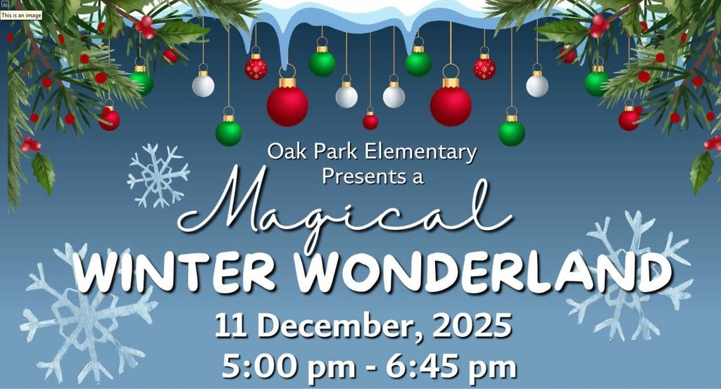 WInter Wonderland  december 11th, 2025 5:00pm-6:45