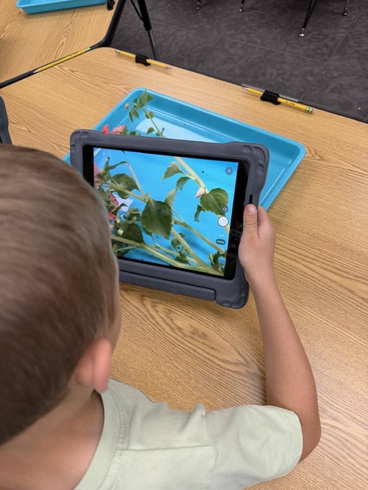 A student taking a picture of their plant with an iPad