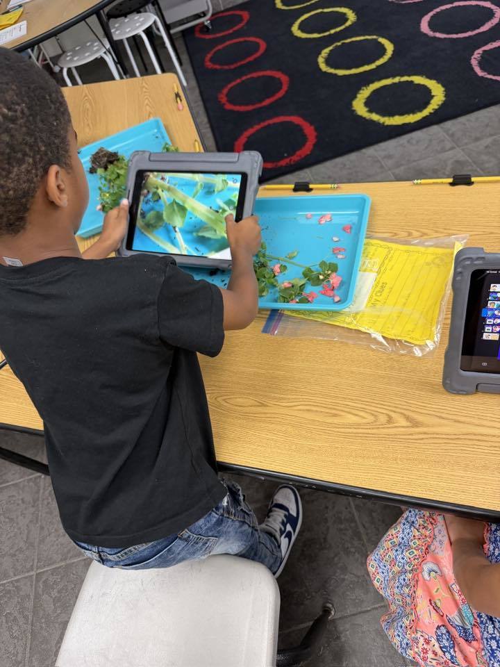 A student taking a picture of their plant with an iPad