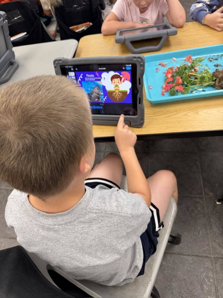 A student taking a picture of their plant with an iPad