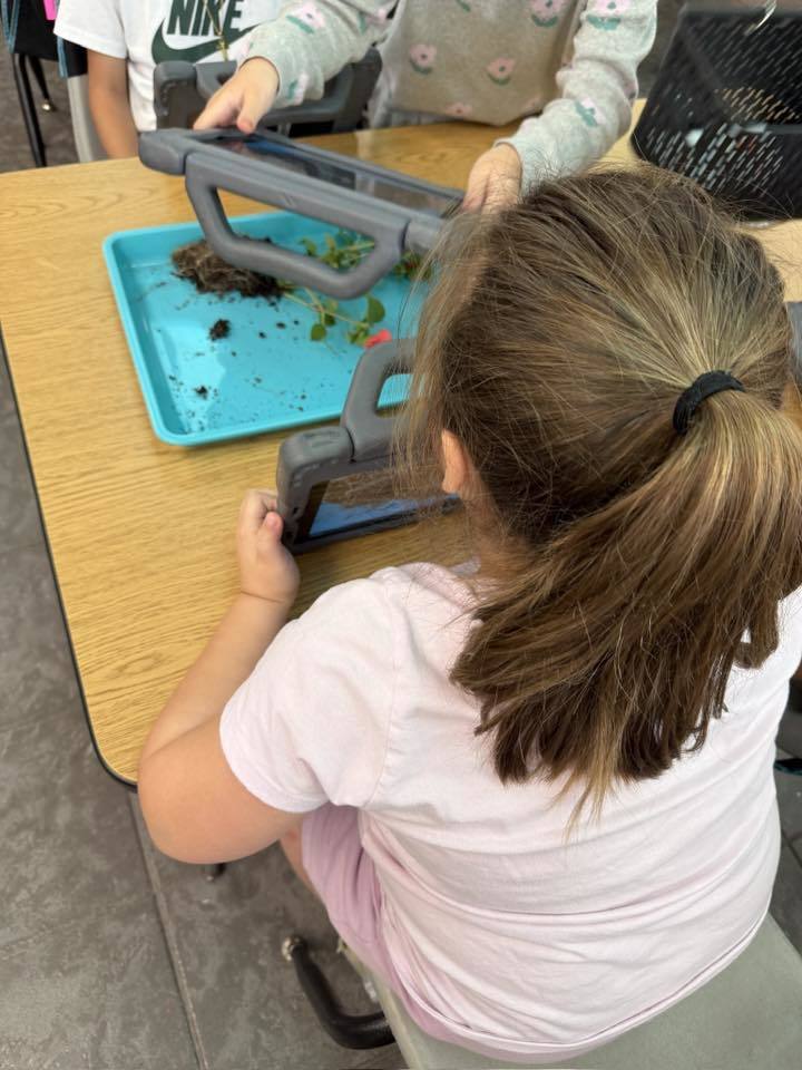 A student taking a picture of their plant with an iPad