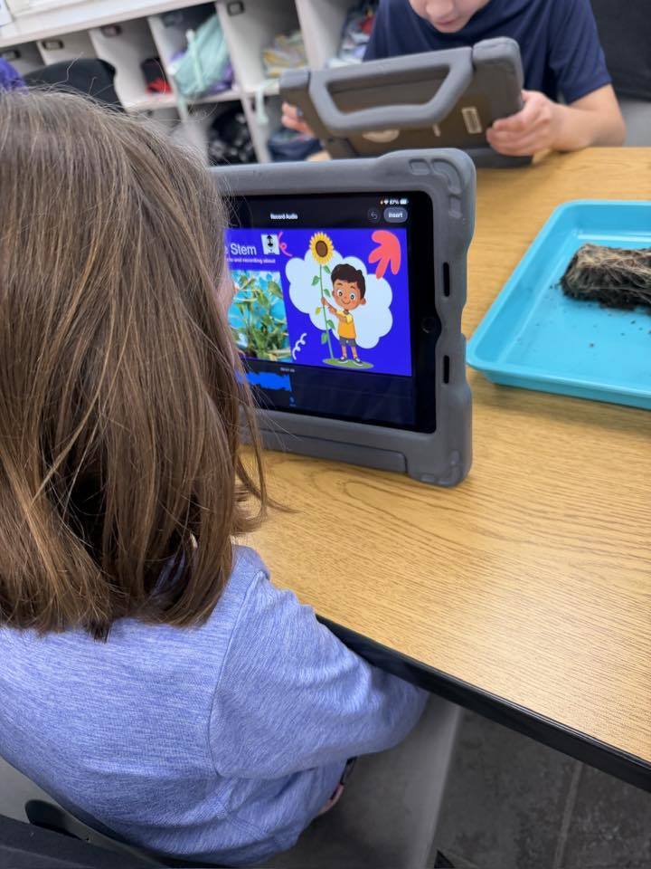 A student taking a picture of their plant with an iPad