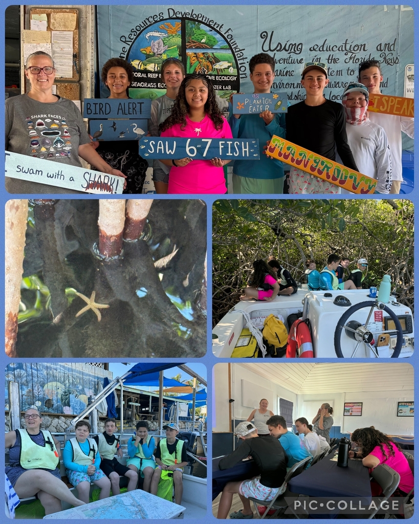 Images of Stone students during marine lab field trip.