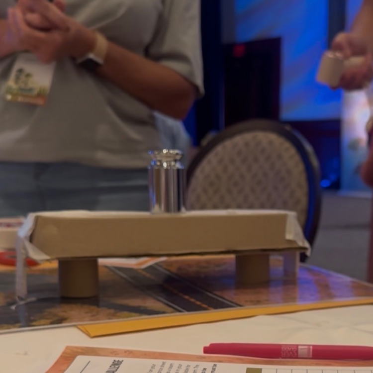 a land bridge made from recycled material constructed by some of the Tech Integrators 