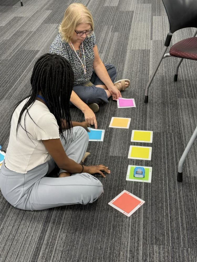 Two educators sit on the floor working together with a code robot and a sequence of colorful coding cards. One participant points to the cards while discussing the activity, demonstrating hands-on learning with educational robotics.