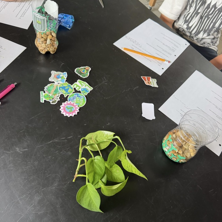 plant cuttings and supplies for plastic bottle planters
