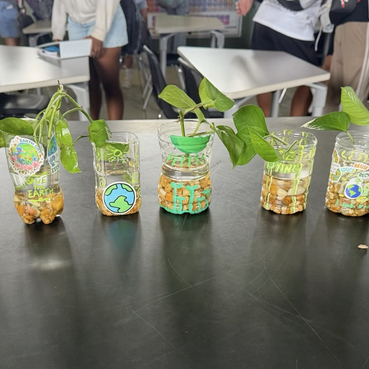plant cuttings in plastic bottle planters